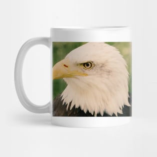 Bald Eagle (Vintage) Mug